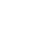 5p icon