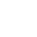 5p icon